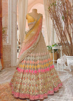 Multi Designer Lehenga Choli